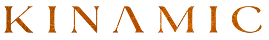 Kinamic